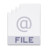 File Icon